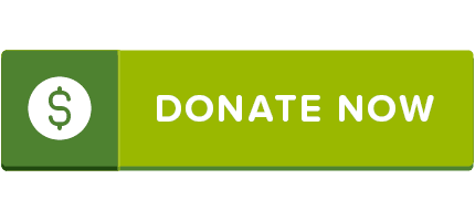 Donate Now Button