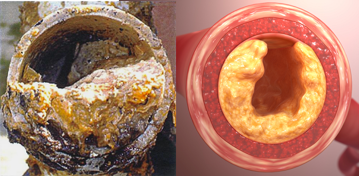 Cross section of grease buildup in pipes