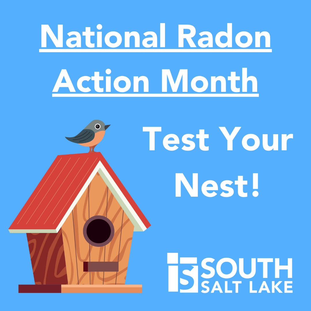 Test your Nest for National Radon Action Month